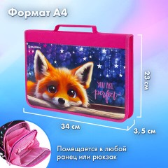 Папка на молнии BRAUBERG А4 с ручкой, с органайзером, 1 отделение, "Cute fox", 272217 Папка на молнии BRAUBERG А4 с ручкой, с органайзером, 1 отделение, "Cute fox", 272217 - фото 11