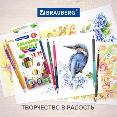 Карандаши цветные двусторонние BRAUBERG PREMIUM TWIN COLOUR, 12 штук, 24 цвета, шестигранные, грифель 3,3 мм, натуральное дерево, 181874 Карандаши цветные двусторонние BRAUBERG PREMIUM TWIN COLOUR, 12 штук, 24 цвета, шестигранные, грифель 3,3 мм, натуральное дерево, 181874 - фото 10