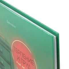 Дневник 1-11 класс 40 л., твердый, BRAUBERG, глянцевая ламинация, "Пушистый хулиган", 107599 - фото 4