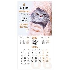 Календарь настенный перекидной 2026 г., BRAUBERG, 12 листов, 28,5х28,5 см, "Милые котики", 116929 - фото 9