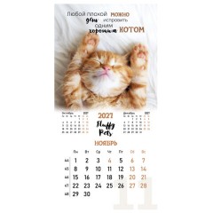 Календарь настенный перекидной 2027 г., BRAUBERG, 12 листов, 28,5х57 см, "Смешные котики", 118430 - фото 15