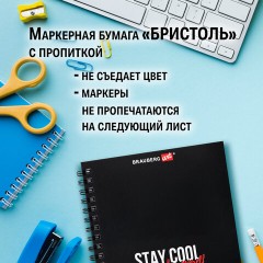 Скетчбук для графики и маркеров, "БРИСТОЛЬ" 200 г/м2, 148х210 мм, 30 листов, ГРЕБЕНЬ, BRAUBERG ART PREMIERE, 115108 Скетчбук для графики и маркеров, "БРИСТОЛЬ" 200 г/м2, 148х210 мм, 30 листов, ГРЕБЕНЬ, BRAUBERG ART PREMIERE, 115108 - фото 8