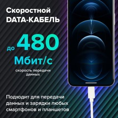 Кабель USB2.0 – Lightning, 1 м, SONNEN, медь, для передачи данных и зарядки, белый, 513559 Кабель USB2.0 – Lightning, 1 м, SONNEN, медь, для передачи данных и зарядки, белый, 513559 - фото 8