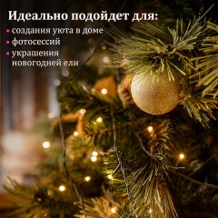 Электрогирлянда-нить комнатная "Стандарт" 10 м, 100 LED, теплый белый свет, 220 V, контроллер, ЗОЛОТАЯ СКАЗКА, 591346 Электрогирлянда-нить комнатная "Стандарт" 10 м, 100 LED, теплый белый свет, 220 V, контроллер, ЗОЛОТАЯ СКАЗКА, 591346 - фото 8