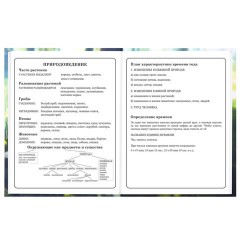 Дневник 1-4 класс 48 л., твердый, BRAUBERG, выборочный лак, с подсказом, "Оленёнок", 107595 - фото 16