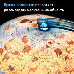 Глобус зоогеографический GLOBEN "Классик Евро", 25 см, с подсветкой, детский, Ке012500270 - фото 21