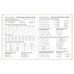Дневник 5-11 класс 48 л., твердый, BRAUBERG, выборочный лак, с подсказом, "Кот-Непоседа", 107616 - фото 11
