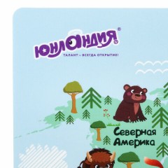 Настольное покрытие ЮНЛАНДИЯ, А3+, пластик, 46x33 см, "Map", 272370 Настольное покрытие ЮНЛАНДИЯ, А3+, пластик, 46x33 см, "Map", 272370 - фото 4