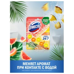 Блок туалетный подвесной твердый 50 г, ДОМЕСТОС "Сила тропиков" - фото 4