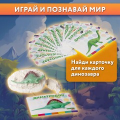 Набор для раскопок 12 видов динозавров, карточки, инструменты, развивающий, BRAUBERG KIDS, 664923 Набор для раскопок 12 видов динозавров, карточки, инструменты, развивающий, BRAUBERG KIDS, 664923 - фото 15