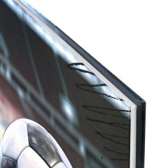 Дневник 1-4 класс 48 л., твердый, ЮНЛАНДИЯ, глянцевая ламинация, с подсказом, "Футбол", 107583 - фото 2