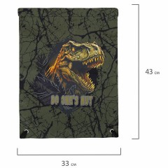 Мешок для обуви BRAUBERG PREMIUM, карман, подкладка, светоотражайка, 43х33 см, Dino attack, 272424 Мешок для обуви BRAUBERG PREMIUM, карман, подкладка, светоотражайка, 43х33 см, Dino attack, 272424 - фото 8
