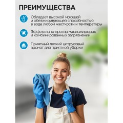 Универсальное чистящее средство ПРОГРЕСС 5л ПЭТ Бутылка - фото 4