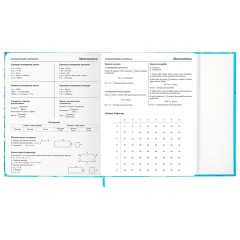 Дневник 1-11 класс 48 л., твердый, BRAUBERG, матовая ламинация, магнитный клапан, закладка-ляссе, с подсказом, "Котик", 107244 - фото 15