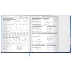 Дневник 1-11 класс 48 л., твердый, BRAUBERG, матовая ламинация, магнитный клапан, закладка-ляссе, с подсказом, "Magic", 107243 - фото 17
