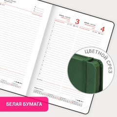 Ежедневник датированный 2026, А5, 138х213 мм, BRAUBERG "Plain", под кожу, резинка, держатель для ручки, темно-зеленый, 117507 - фото 16