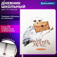 Дневник 1-11 класс 48 л., кожзам (твердая с поролоном), печать, цветной блок, BRAUBERG, "Сова", 106952 - фото 19