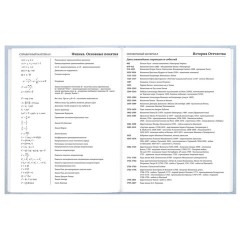 Дневник 5-11 класс 48 л., твердый, BRAUBERG, глянцевая ламинация, с подсказом, "Пушистый мечтатель", 107609 - фото 13