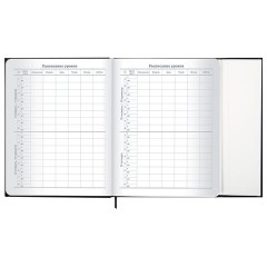 Дневник 1-11 класс 48 л., твердый, BRAUBERG, матовая ламинация, магнитный клапан, закладка-ляссе, с подсказом, "Дракон", 107245 - фото 11