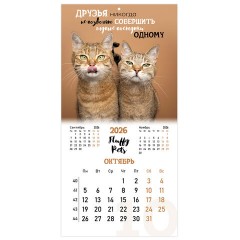 Календарь настенный перекидной 2026 г., BRAUBERG, 12 листов, 28,5х28,5 см, "Милые котики", 116929 - фото 13