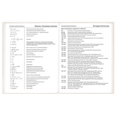 Дневник 5-11 класс 48 л., твердый, BRAUBERG, выборочный лак, с подсказом, "Кот-Непоседа", 107616 - фото 13