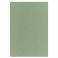 Бумага для пастели БОЛЬШАЯ А3 в папке, 20 листов, 5 цветов, 180 г/м2, BRAUBERG ART CLASSIC, 116346 - фото 3