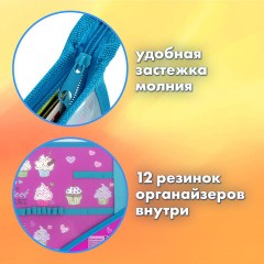 Папка для труда BRAUBERG А4, 2 отделения, пластик, молния сверху, органайзер, "Cup Cakes", 229134 Папка для труда BRAUBERG А4, 2 отделения, пластик, молния сверху, органайзер, "Cup Cakes", 229134 - фото 12