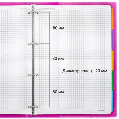 Тетрадь на кольцах БОЛЬШАЯ А4, 305х235 мм, 120 л., пластик, разделители, BRAUBERG MOVE, розовый, 405257 - фото 5