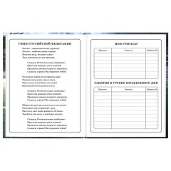 Дневник 1-4 класс 48 л., твердый, ЮНЛАНДИЯ, глянцевая ламинация, с подсказом, "Футбол", 107583 - фото 6