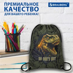 Мешок для обуви BRAUBERG PREMIUM, карман, подкладка, светоотражайка, 43х33 см, Dino attack, 272424 Мешок для обуви BRAUBERG PREMIUM, карман, подкладка, светоотражайка, 43х33 см, Dino attack, 272424 - фото 15