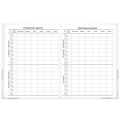 Дневник 1-11 класс 40 л., твердый, BRAUBERG, матовая ламинация, "Котёнок", 107601 - фото 7