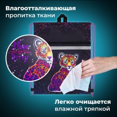 Мешок для обуви BRAUBERG, с петлей, светоотражающая полоса, 2 отделения, 46х36 см, Leopard, 272395 Мешок для обуви BRAUBERG, с петлей, светоотражающая полоса, 2 отделения, 46х36 см, Leopard, 272395 - фото 9