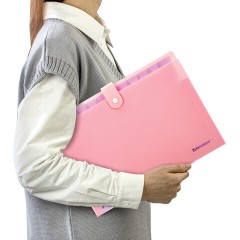 Папка-органайзер на кнопке 12 отделений, BRAUBERG "Extra", А4, персиковая с лавандовым, 271931 Папка-органайзер на кнопке 12 отделений, BRAUBERG "Extra", А4, персиковая с лавандовым, 271931 - фото 6
