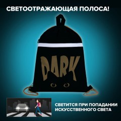 Мешок для обуви BRAUBERG, с петлей, светоотражающая полоса, 2 отделения, 46х36 см, Dark cat, 272394 Мешок для обуви BRAUBERG, с петлей, светоотражающая полоса, 2 отделения, 46х36 см, Dark cat, 272394 - фото 10