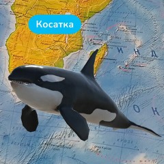 Карта мира физическая 157х107 см, 1:21,5М, с ламинацией, интерактивная, в тубусе, BRAUBERG, 112388 Карта мира физическая 157х107 см, 1:21,5М, с ламинацией, интерактивная, в тубусе, BRAUBERG, 112388 - фото 16