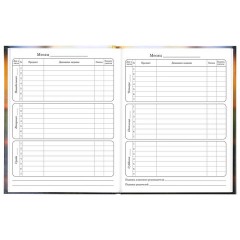 Дневник 1-4 класс 48 л., твердый, ЮНЛАНДИЯ, глянцевая ламинация, с подсказом, "Котёнок", 107581 - фото 9