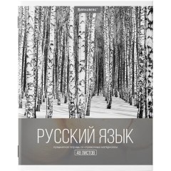 Тетради предметные, КОМПЛЕКТ 10 ПРЕДМЕТОВ, 48 л., обложка картон, BRAUBERG, "КЛАССИКА XXI", 404025 Тетради предметные, КОМПЛЕКТ 10 ПРЕДМЕТОВ, 48 л., обложка картон, BRAUBERG, "КЛАССИКА XXI", 404025 - фото 13