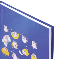 Блокнот А5 (134х206 мм), 80 л., твёрдый, клетка, BRAUBERG KIDS, "Радужные котики", 114417 Блокнот А5 (134х206 мм), 80 л., твёрдый, клетка, BRAUBERG KIDS, "Радужные котики", 114417 - фото 4
