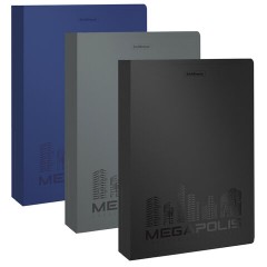 Папка на 2 кольцах ERICH KRAUSE "MEGAPOLIS", 35 мм, до 250 листов, ассорти, 0,6 мм, 49983 - фото 2