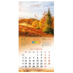 Календарь настенный перекидной 2026 г., BRAUBERG, 12 листов, 28,5х28,5 см, "Времена года", 116925 - фото 14