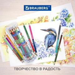 Карандаши цветные двусторонние BRAUBERG PREMIUM TWIN COLOUR, 24 шт., 48 цв., туба, шестигранные, грифель 3,3 мм, натуральное дерево, 181876 Карандаши цветные двусторонние BRAUBERG PREMIUM TWIN COLOUR, 24 шт., 48 цв., туба, шестигранные, грифель 3,3 мм, натуральное дерево, 181876 - фото 11