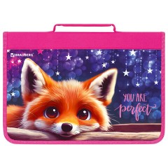 Папка на молнии BRAUBERG А4 с ручкой, с органайзером, 1 отделение, "Cute fox", 272217 Папка на молнии BRAUBERG А4 с ручкой, с органайзером, 1 отделение, "Cute fox", 272217 - фото 2