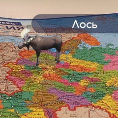 Карта России политико-административная 101х70 см, 1:8,5М, интерактивная, европодвес, BRAUBERG, 112395 Карта России политико-административная 101х70 см, 1:8,5М, интерактивная, европодвес, BRAUBERG, 112395 - фото 5
