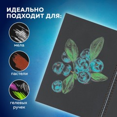 Скетчбук, черная бумага 120 г/м2, 210х297 мм, 32 л., гребень, BRAUBERG ART CLASSIC, 128951 Скетчбук, черная бумага 120 г/м2, 210х297 мм, 32 л., гребень, BRAUBERG ART CLASSIC, 128951 - фото 11