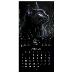 Календарь настенный перекидной 2026 г., BRAUBERG, 12 листов, 28,5х28,5 см, "Black esthetic", 116927 - фото 7