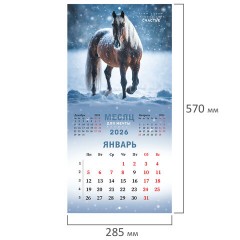 Календарь настенный перекидной 2026 г., BRAUBERG, 12 листов, 28,5х28,5 см, "Благородные лошади", 116932 - фото 3