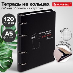 Тетрадь на кольцах А5 160х212 мм, 120 листов, картон, матовая ламинация, клетка, BRAUBERG, "Просто Кот", 404723 Тетрадь на кольцах А5 160х212 мм, 120 листов, картон, матовая ламинация, клетка, BRAUBERG, "Просто Кот", 404723 - фото 11