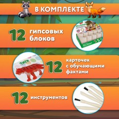 Набор для раскопок "Дикие животные", 12 видов, карточки, инструменты, BRAUBERG KIDS, 665128 Набор для раскопок "Дикие животные", 12 видов, карточки, инструменты, BRAUBERG KIDS, 665128 - фото 13
