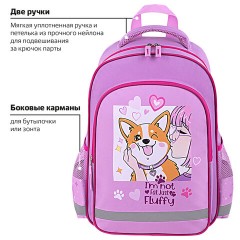 Рюкзак ПИФАГОР SCHOOL, 1 отделение, 3 кармана, "Fluffy akita", 38x28х14 см, 272084 Рюкзак ПИФАГОР SCHOOL, 1 отделение, 3 кармана, "Fluffy akita", 38x28х14 см, 272084 - фото 15