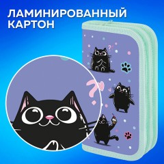 Пенал ПИФАГОР, 2 отделения, ламинированный картон, 19х11 см, "Funny cats", 273481 - фото 10